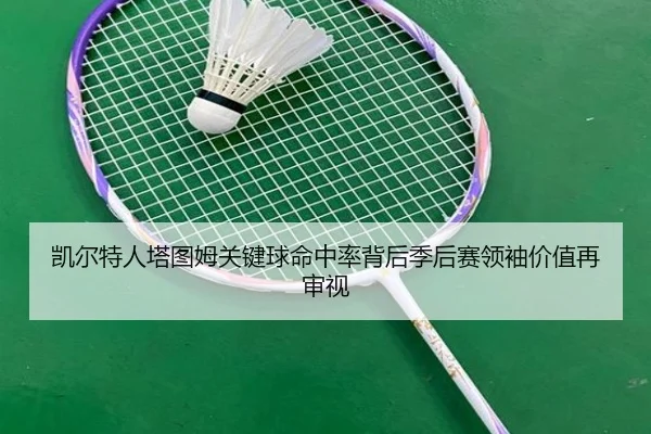 img_1780348602985_386_1_695.jpg